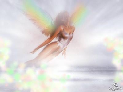 ti papillon